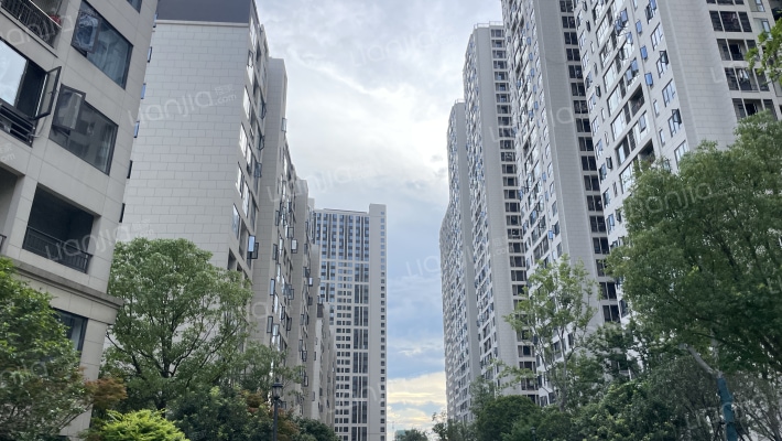 新城朗隽大都会外景图