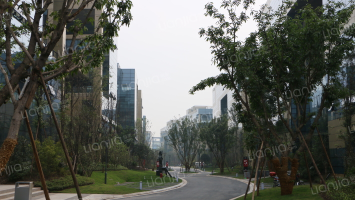 新天泽国际总部城外景图