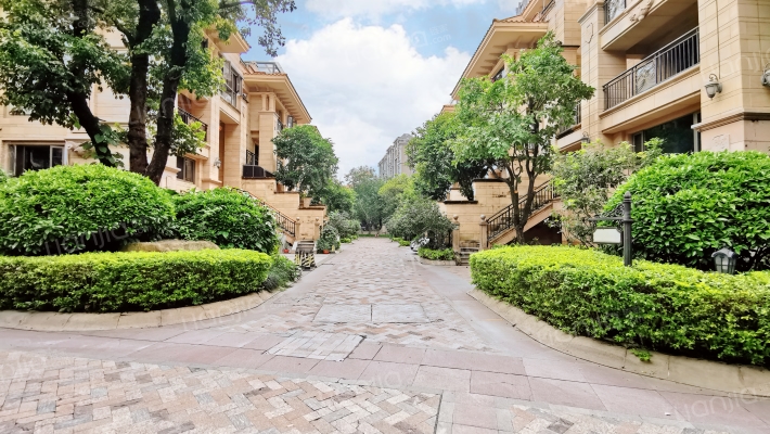 融信大卫城B区外景图