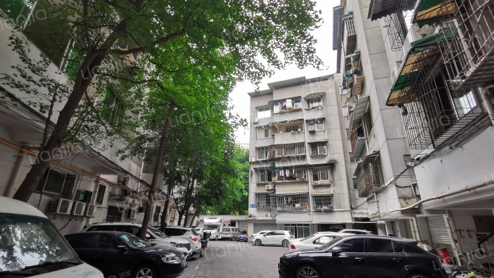 柳城大道西段138号院外景图