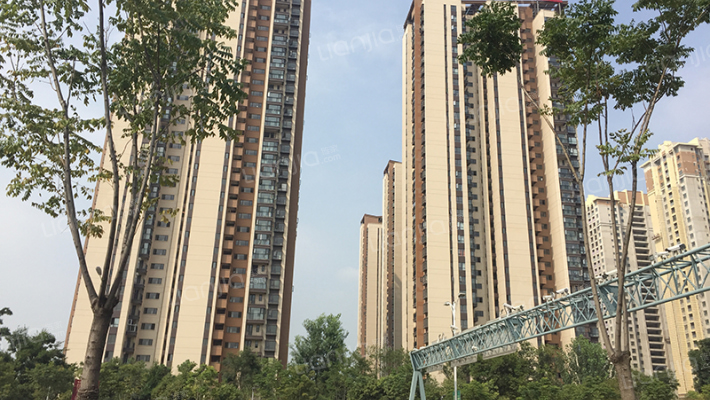 金科阳光里外景图