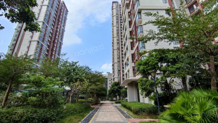 濠江丽景苑外景图