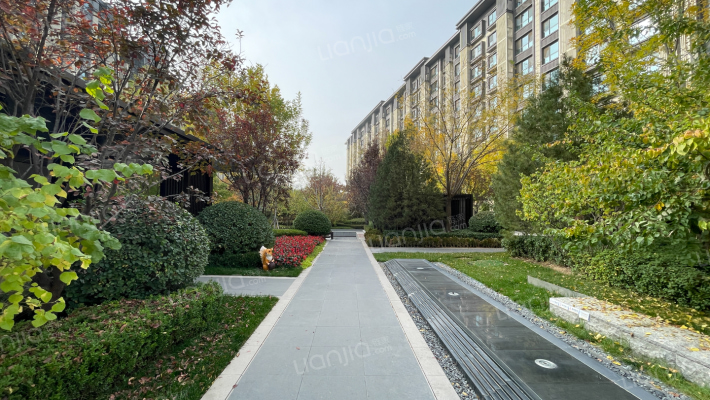 未来城市外景图