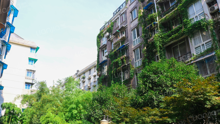 南肖埠社区外景图