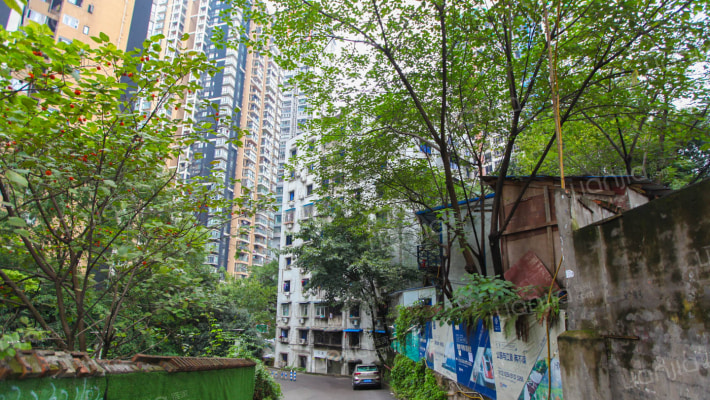 下徐家坡24号附1号外景图