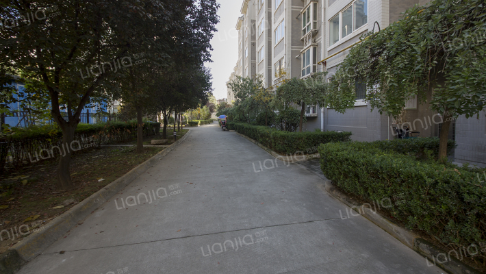 爱菊花园外景图