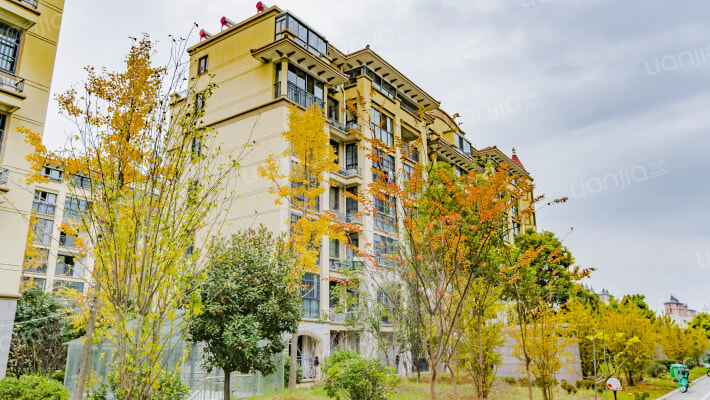 金色罗马外景图