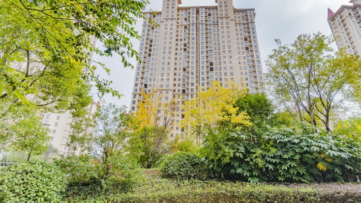 中南世纪城一期外景图