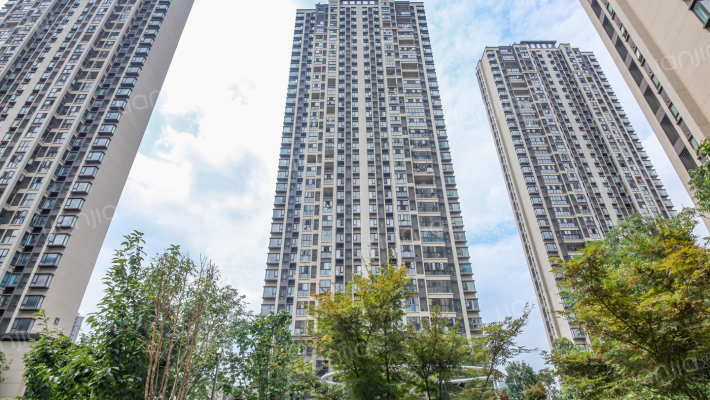 万科金域传奇外景图