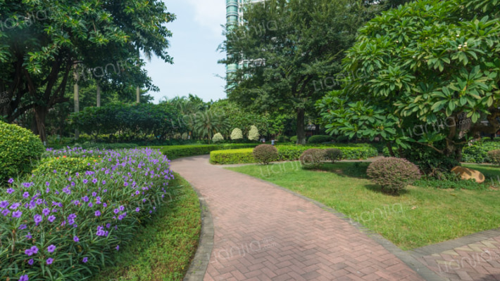 第三金碧花园外景图