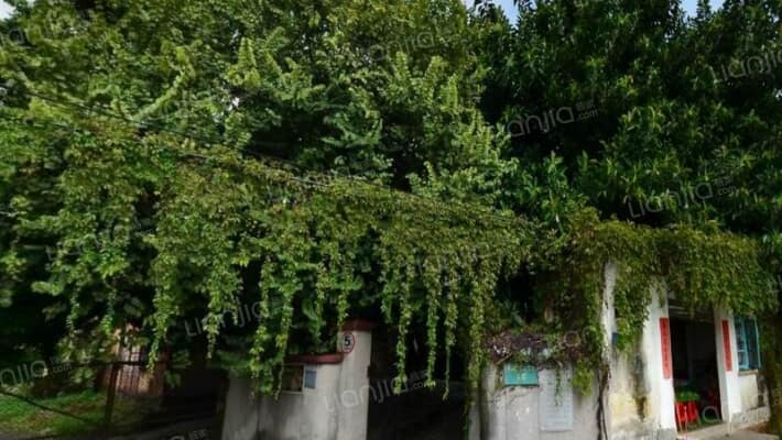 省工人医院小区外景图