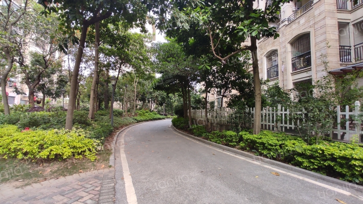 丽日坚美森林湖外景图