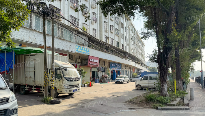 莲丰大厦外景图