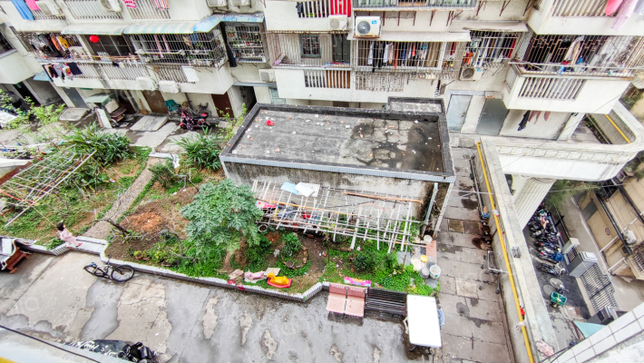 大利嘉城C区外景图