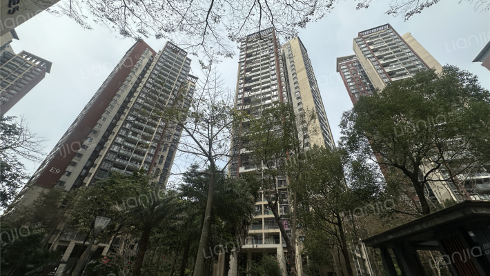 星河丹堤E区外景图