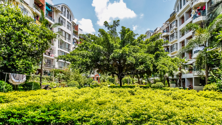 振寕翠峰外景图