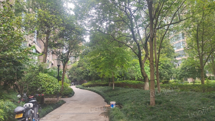 左邻右舍外景图