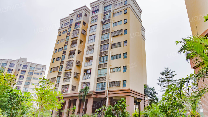 龙凤春晓外景图