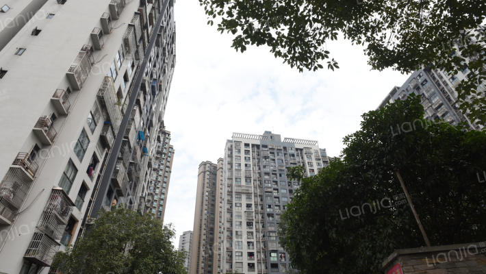 东衡爱地社区外景图