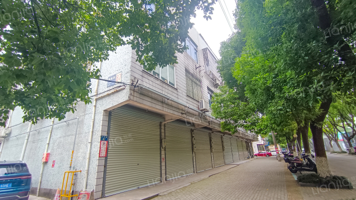 桐南路137号1幢外景图