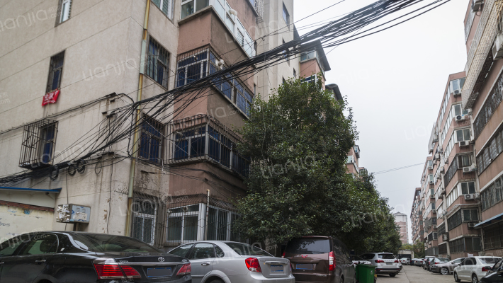 金水区区委家属院外景图