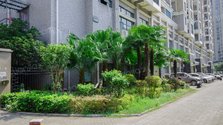 奥林匹克花园雅典阳光外景图