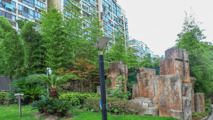 禄德嘉苑外景图