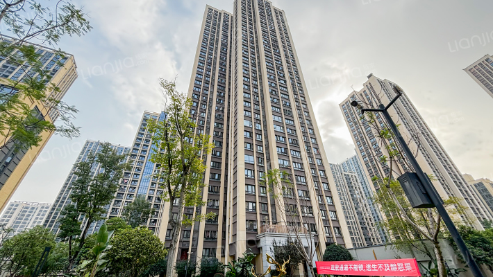 金科天宸五街区外景图