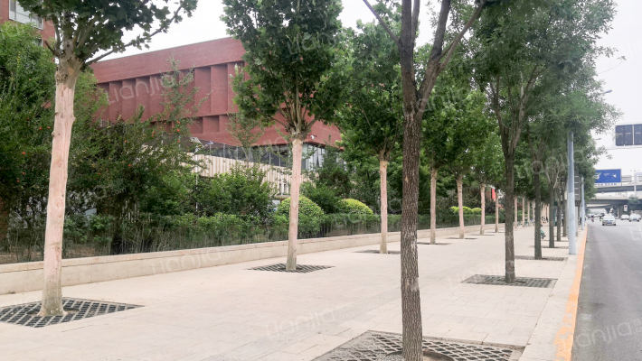 金星里（已拆迁）外景图