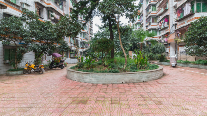 黄桷堡二巷1号外景图