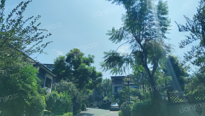 大溪谷鹭岭外景图