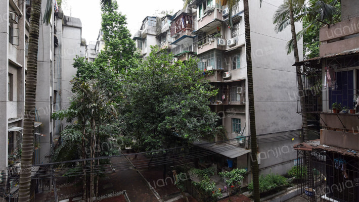 晓园新村晓园南外景图