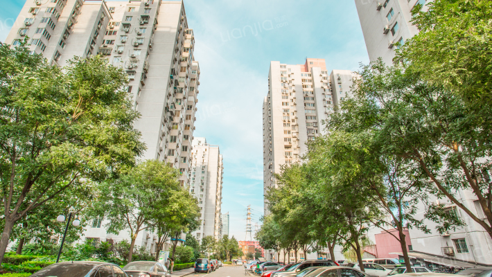 金顶街三区外景图