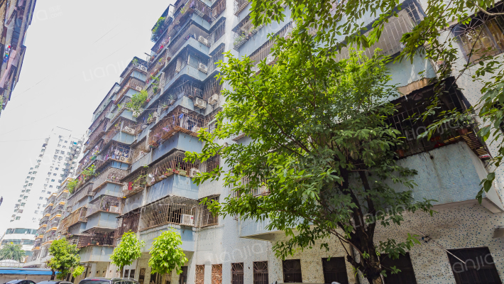 上排七号小区外景图