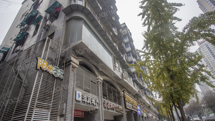 龙华大道外景图