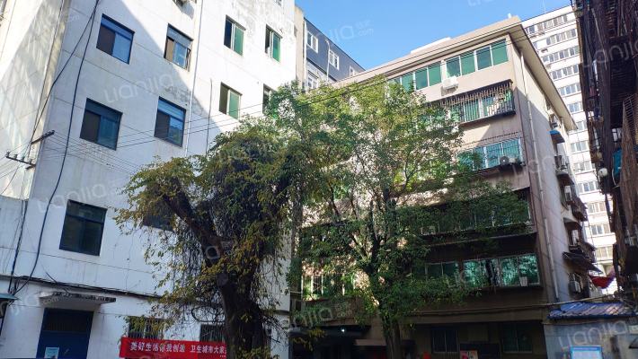 紫园小区 外景图