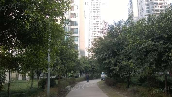 蓝色经典小区外景图