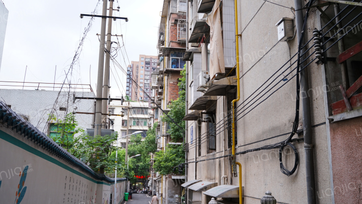 红花坡官南外景图