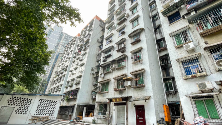 石坪桥正街147号外景图