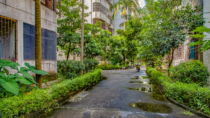 怡海地苑宅区外景图