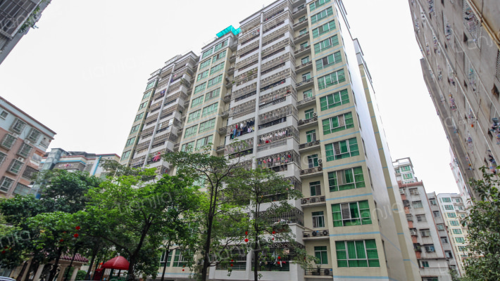 新苑花园外景图