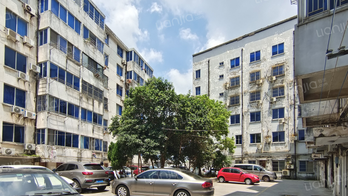 范公堤路41号外景图