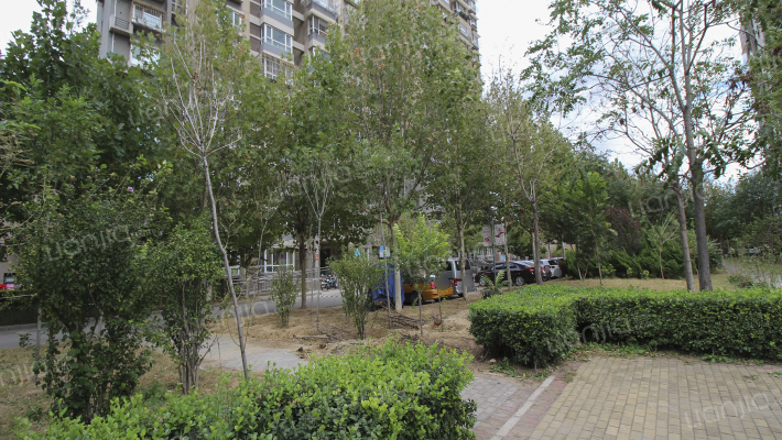 河联园F区外景图