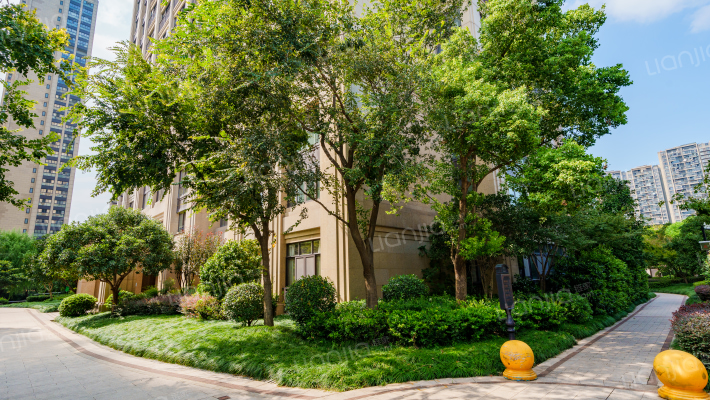 大滩六号院外景图