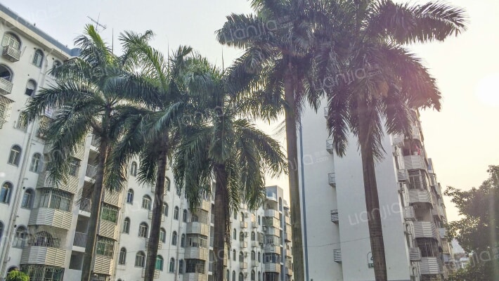 芳春花园外景图