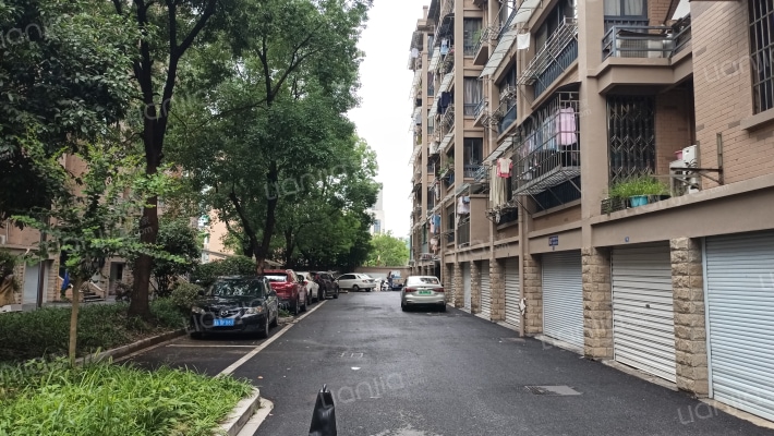 香樟名苑外景图