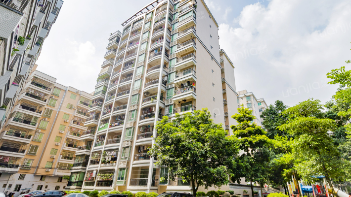 百合华园A区外景图