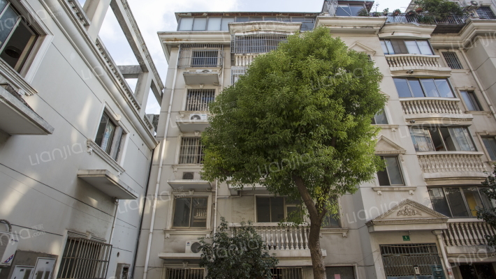 金龙新苑外景图