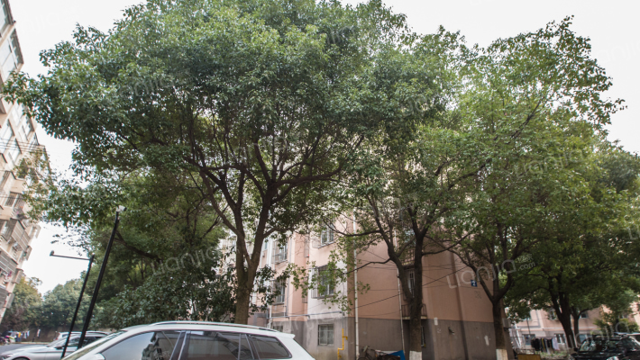 美陆佳园小区外景图