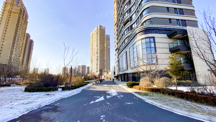 金地棕榈岛外景图